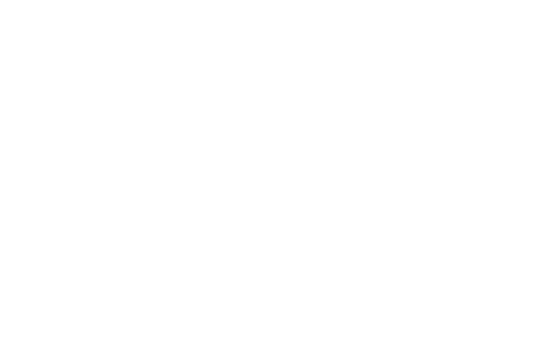 Official Selection – Los Angeles International Screenplay Awards Diversity Initiative 2026